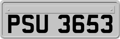 PSU3653