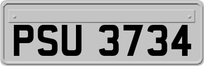 PSU3734