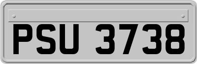 PSU3738