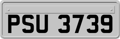 PSU3739