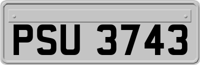 PSU3743