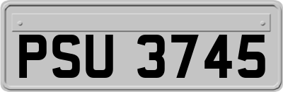 PSU3745