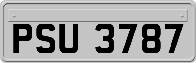 PSU3787