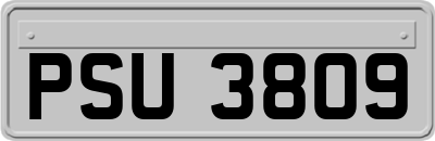 PSU3809