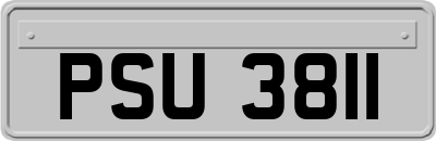 PSU3811