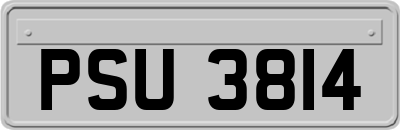 PSU3814