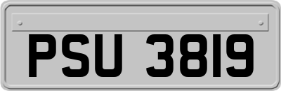 PSU3819
