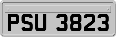 PSU3823