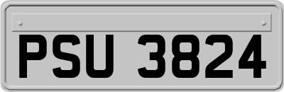 PSU3824
