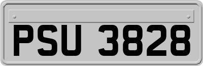 PSU3828