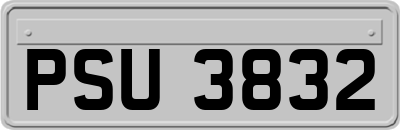 PSU3832