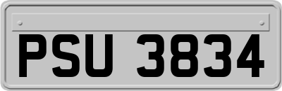 PSU3834