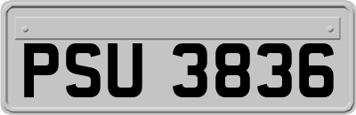 PSU3836