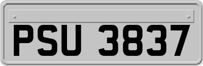 PSU3837