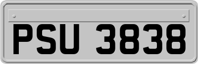 PSU3838