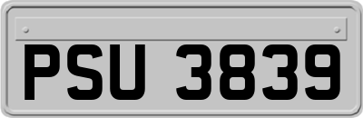 PSU3839