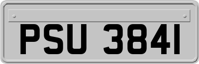 PSU3841
