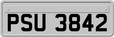 PSU3842
