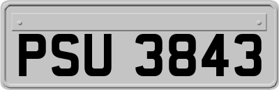 PSU3843