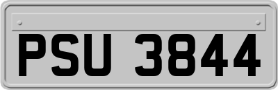 PSU3844