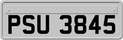 PSU3845