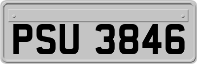 PSU3846