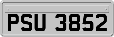 PSU3852