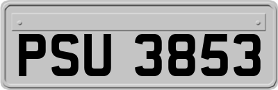 PSU3853