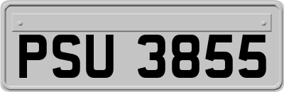 PSU3855