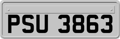 PSU3863
