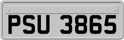 PSU3865