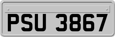 PSU3867
