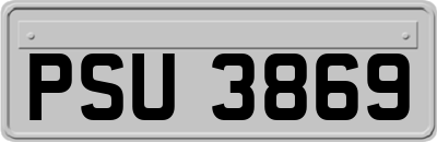PSU3869