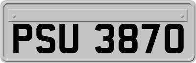 PSU3870