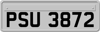 PSU3872