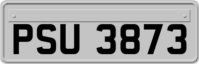 PSU3873