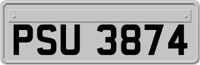 PSU3874
