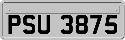 PSU3875