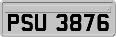 PSU3876