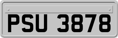 PSU3878