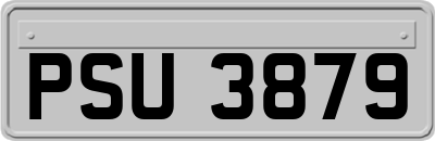 PSU3879
