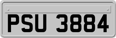 PSU3884