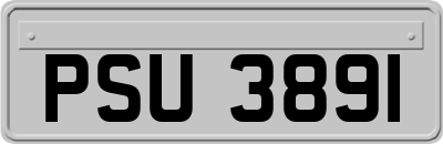 PSU3891