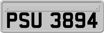 PSU3894