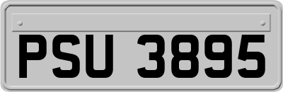 PSU3895