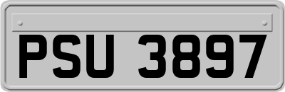 PSU3897