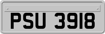 PSU3918