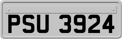 PSU3924