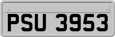 PSU3953