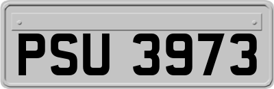 PSU3973